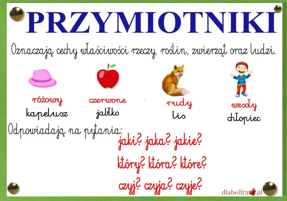 Przymiotnik - Na jakie pytania odpowiada i jak go rozpoznać?