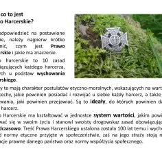 Harcerz kieruje się Prawem Harcerskim, które kształtuje system wartości. Odznaka harcerska na mchu.