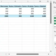 Fragment tabeli przestawnej w Excelu z danymi miesięcznymi i sumami.