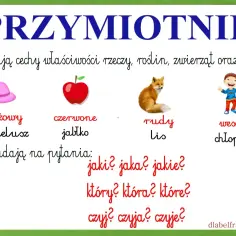 Przymiotniki opisują cechy, np. różowy kapelusz, czerwone jabłko, rudy lis, wesoły chłopiec. Odpowiadają na pytania: jaki? który? czyj?