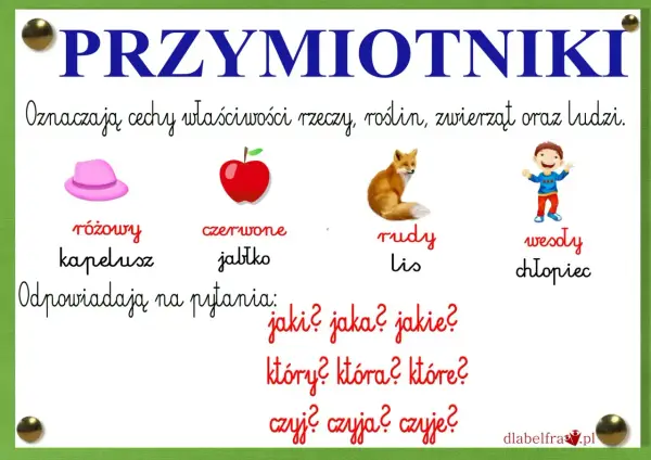 Przymiotnik - Na jakie pytania odpowiada i jak go rozpoznać?